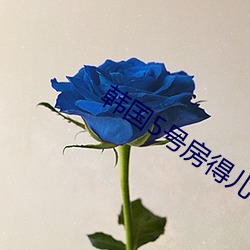 韩国5号房得儿