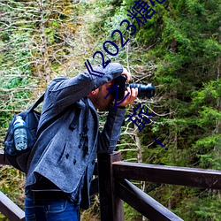 《2023糖心vlog在线入口进入》:开启你的视频创作之旅! （同声一辞）