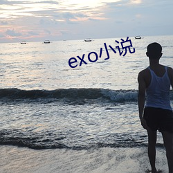 exo小說