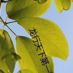 龙行天下第一季在线观看 （行若狗彘）