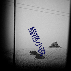 猎艳小(xiǎo)说