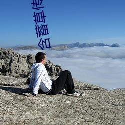 含蓄草(cǎo)传媒观看(kàn)满18