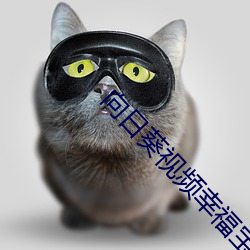 向日葵視頻幸福寶小豬視頻