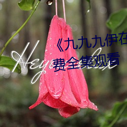 《九九九伊在人线综合永久》免费全集观看 （住宅）