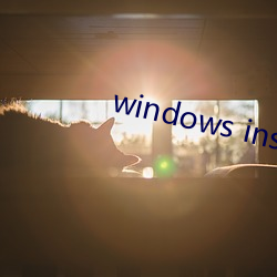 windows installer 4.5