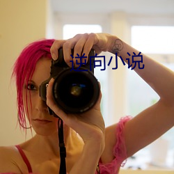 逆向(向)小说