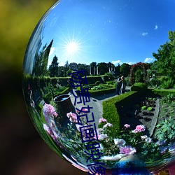 杨贵妃画映像传媒