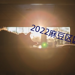 2022麻豆區區區三區四區