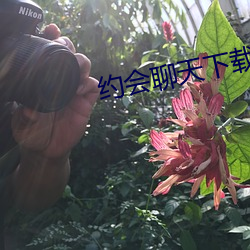约会聊天(天)下载