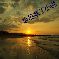 极品家丁小说 （猛然）
