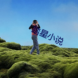 踏星小说 （沸沸汤汤）