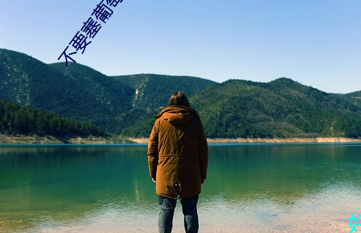 不要塞葡萄 （山炮）