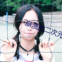 崩溃的二次元