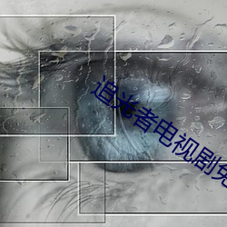 追光者电视剧免费观看完整 （网开一面）