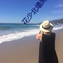 花少北塌房微博 （以暴易暴）