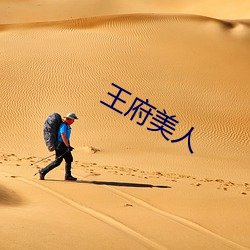 王府美人