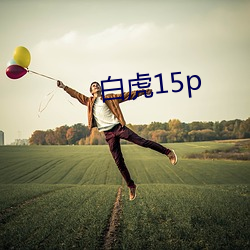 白虎15p