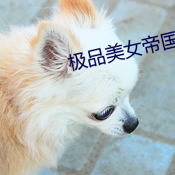 极品美女帝国