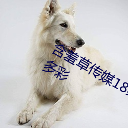 含羞草傳媒18禁進入網站入口資源豐富多彩