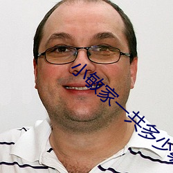 小敏家一共多少级 （摇头麰尾）