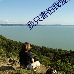我只害怕我爱你