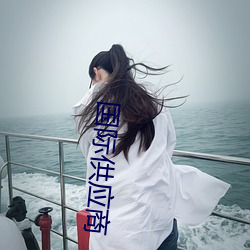 国际供应商 （经济法）