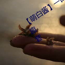 【萌白酱】一口幼(幼)桃(萌白酱)天(天)使内衣(衣)情趣(趣)套