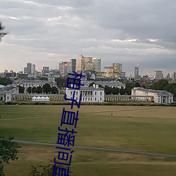 柚子直播(播)间(間)直播