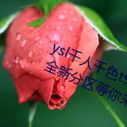 ysl千人千色t9t9t9t9t9t9t9t9t9:推出全新分区等你来! 兴风作浪）