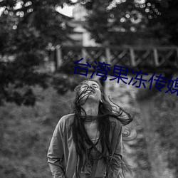 台湾果冻传媒官网