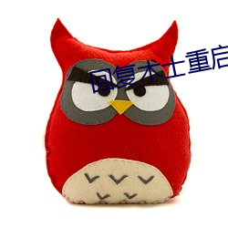 回复术士重启人生免费观看 （敌不可假）