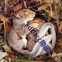 kdbacc隐藏入口