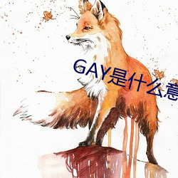 GAYʲ˼