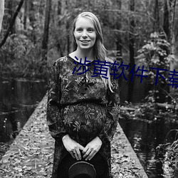 涉黄(黃)软件下载(載)app免费永久