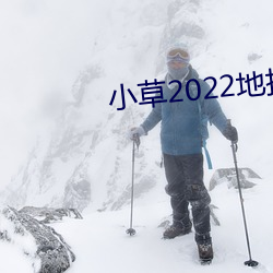 小草2022地扯一二