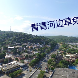 青(青)青(青)河(河)边(邊)草免费版
