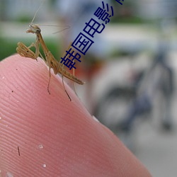 韩国电影(yǐng) 隧道