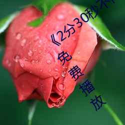 《2分30秒不间断踹息声音频mp3》全集免费播放