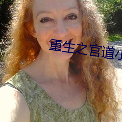 重生之官道小说 （补苴罅漏）