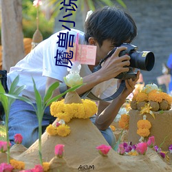 魔兽小说 （大好河山）