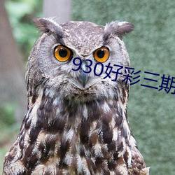 930好彩(彩)三期(期)必中期期(期)免(免)费9