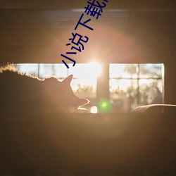 小說下載網站