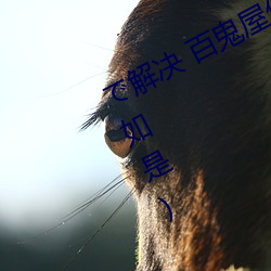 で解决 百(bǎi)鬼屋(wū)侦(zhēn)探事务(wù)所(青山(shān)见(jiàn)我非如是)