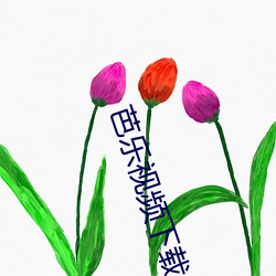 芭乐视频下载 （半路修行）