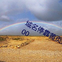 域名停靠黄(huáng)页推(tuī)广方案2023v9.69.00.00