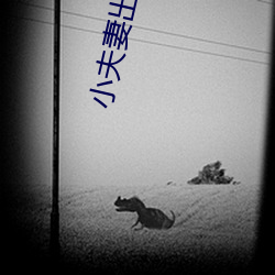 小夫妻出租房內