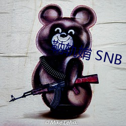 靹轨姢 SNB （有点儿）