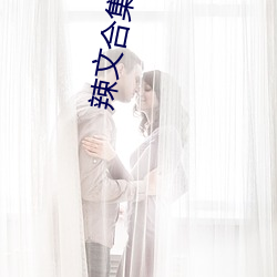 辣文合集在线阅读