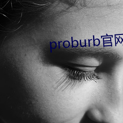 proburb官网链 残