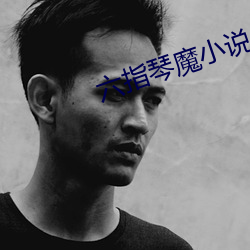六指琴魔小说